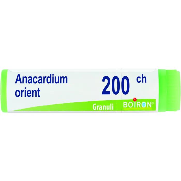 Boiron Anacardium Orient 200Ch Gl