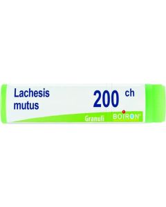 Boiron Lachesis Mutus 200Ch Gl